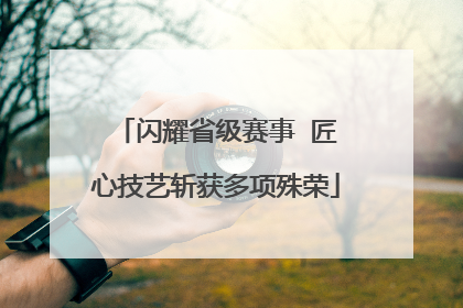 闪耀省级赛事  匠心技艺斩获多项殊荣
