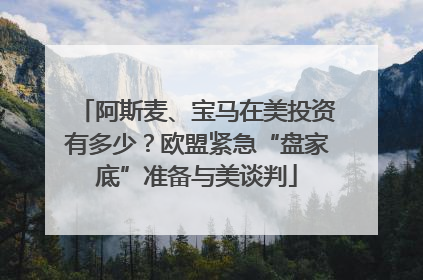 阿斯麦、宝马在美投资有多少？欧盟紧急“盘家底”准备与美谈判