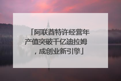 阿联酋特许经营年产值突破千亿迪拉姆，成创业新引擎