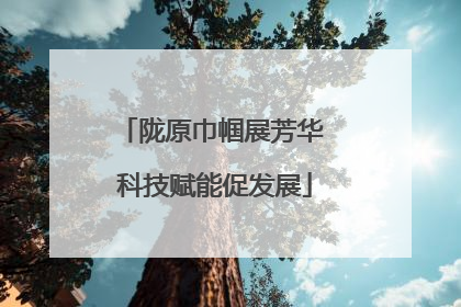 陇原巾帼展芳华 科技赋能促发展