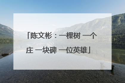 陈文彬：一棵树 一个庄 一块碑 一位英雄