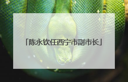 陈永钦任西宁市副市长
