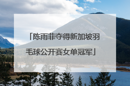 陈雨菲夺得新加坡羽毛球公开赛女单冠军