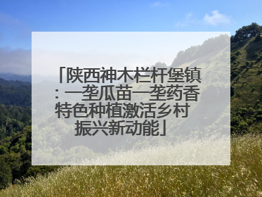陕西神木栏杆堡镇：一垄瓜苗一垄药香 特色种植激活乡村振兴新动能