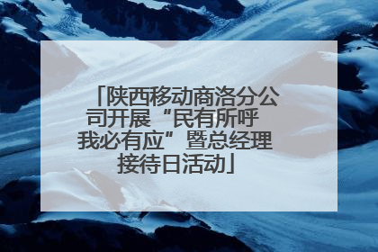 陕西移动商洛分公司开展“民有所呼 我必有应”暨总经理接待日活动
