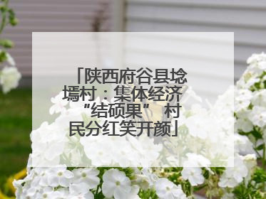 陕西府谷县埝墕村：集体经济“结硕果” 村民分红笑开颜