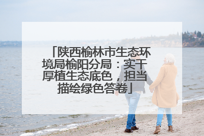 陕西榆林市生态环境局榆阳分局：实干厚植生态底色，担当描绘绿色答卷