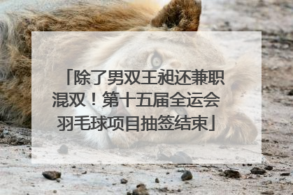 除了男双王昶还兼职混双！第十五届全运会羽毛球项目抽签结束