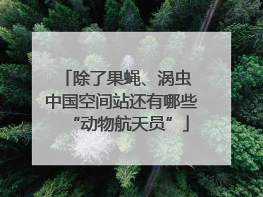 除了果蝇、涡虫 中国空间站还有哪些“动物航天员”