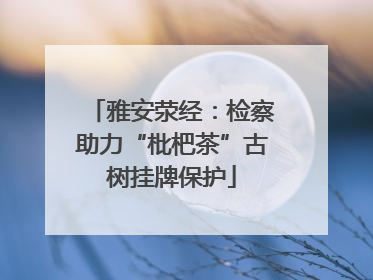 雅安荥经：检察助力“枇杷茶”古树挂牌保护