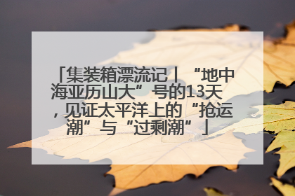 集装箱漂流记丨“地中海亚历山大”号的13天，见证太平洋上的“抢运潮”与“过剩潮”