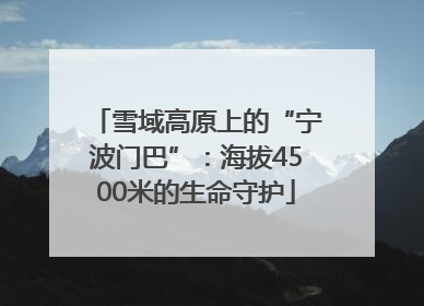 雪域高原上的“宁波门巴”：海拔4500米的生命守护