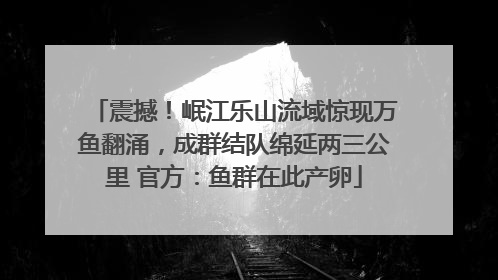 震撼！岷江乐山流域惊现万鱼翻涌，成群结队绵延两三公里 官方：鱼群在此产卵