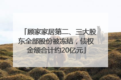 顾家家居第二、三大股东全部股份被冻结，债权金额合计约20亿元
