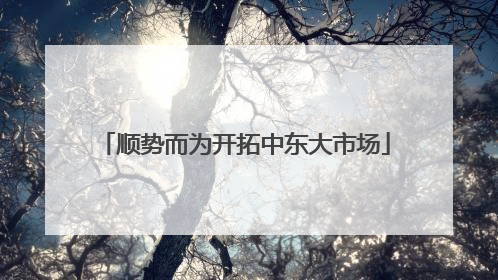 顺势而为开拓中东大市场