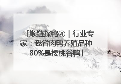 顺链探鸭④｜行业专家：我省肉鸭养殖品种80%是樱桃谷鸭