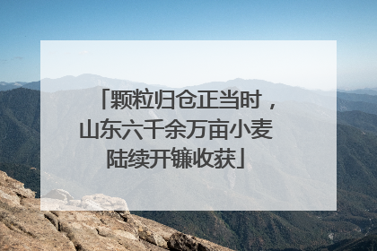 颗粒归仓正当时，山东六千余万亩小麦陆续开镰收获