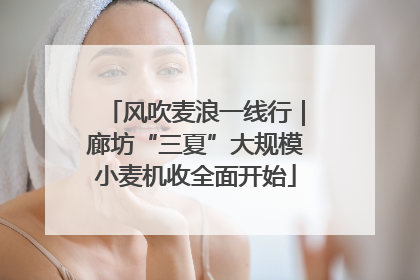 风吹麦浪一线行｜廊坊“三夏”大规模小麦机收全面开始