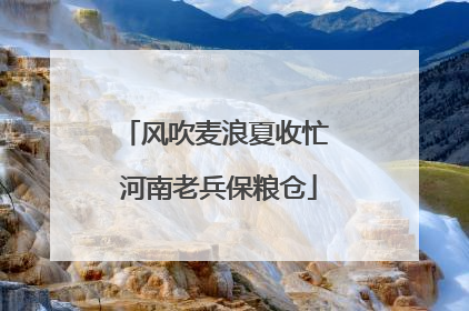 风吹麦浪夏收忙 河南老兵保粮仓