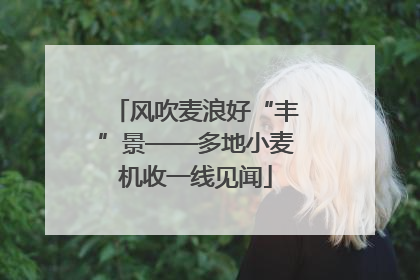 风吹麦浪好“丰”景——多地小麦机收一线见闻