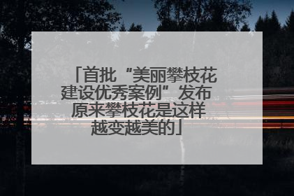 首批“美丽攀枝花建设优秀案例”发布 原来攀枝花是这样越变越美的