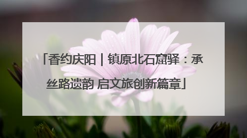 香约庆阳｜镇原北石窟驿：承丝路遗韵 启文旅创新篇章