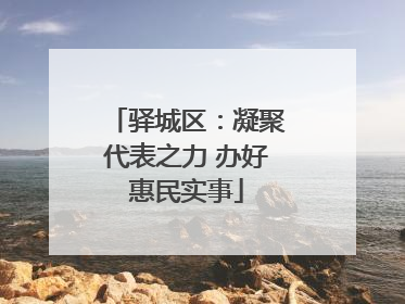 驿城区：凝聚代表之力 办好惠民实事