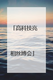 高科技亮相丝博会