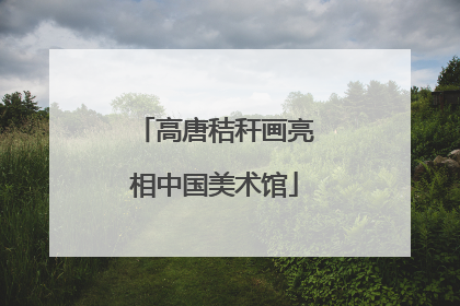 高唐秸秆画亮相中国美术馆