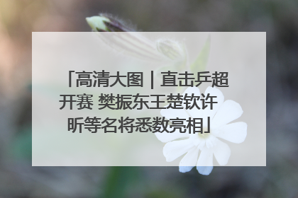 高清大图｜直击乒超开赛 樊振东王楚钦许昕等名将悉数亮相