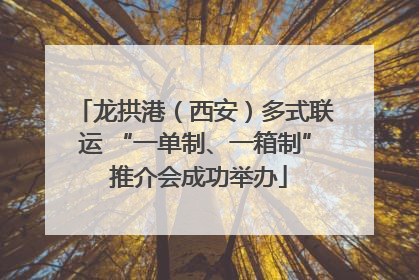 龙拱港（西安）多式联运 “一单制、一箱制” 推介会成功举办