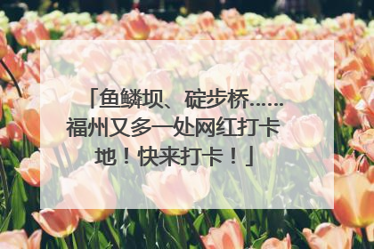 鱼鳞坝、碇步桥……福州又多一处网红打卡地！快来打卡！