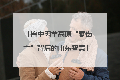 鲁中肉羊高原“零伤亡”背后的山东智慧