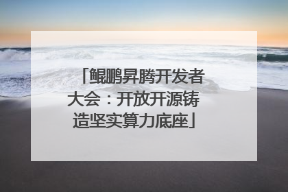 鲲鹏昇腾开发者大会：开放开源铸造坚实算力底座