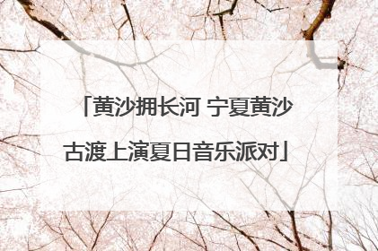 黄沙拥长河 宁夏黄沙古渡上演夏日音乐派对