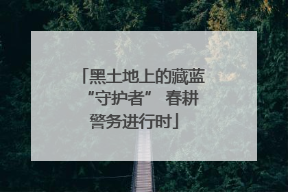 黑土地上的藏蓝“守护者” 春耕警务进行时