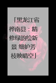 黑龙江省桦南县：精修绿韵绘新景 细护芳枝映晴空