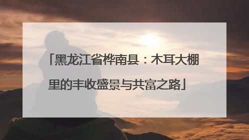 黑龙江省桦南县：木耳大棚里的丰收盛景与共富之路