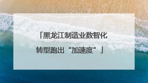 黑龙江制造业数智化转型跑出“加速度”
