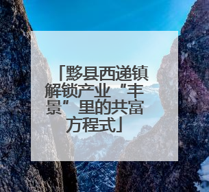 黟县西递镇解锁产业“丰景”里的共富方程式