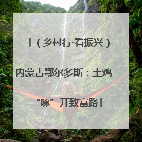 （乡村行·看振兴）内蒙古鄂尔多斯：土鸡“啄”开致富路