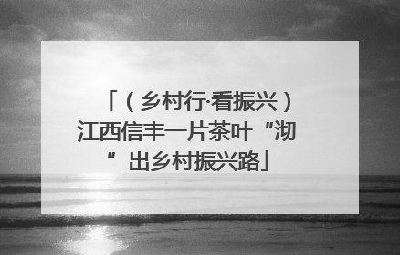 （乡村行·看振兴）江西信丰一片茶叶“沏”出乡村振兴路