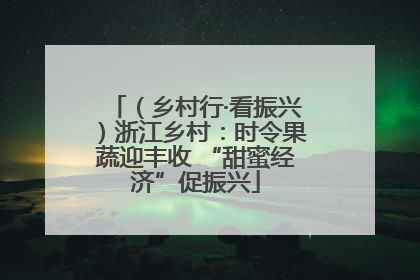 （乡村行·看振兴）浙江乡村：时令果蔬迎丰收 “甜蜜经济”促振兴