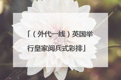 （外代一线）英国举行皇家阅兵式彩排