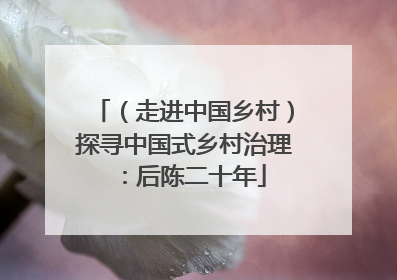 （走进中国乡村）探寻中国式乡村治理：后陈二十年