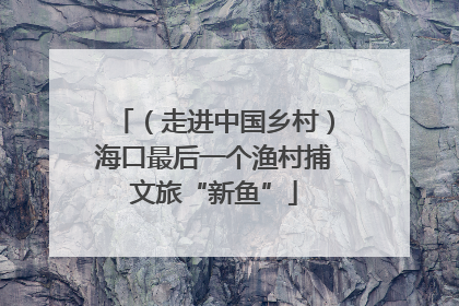 （走进中国乡村）海口最后一个渔村捕文旅“新鱼”