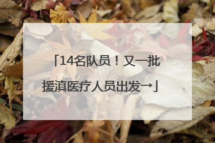 14名队员！又一批援滇医疗人员出发→