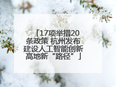 17项举措20条政策 杭州发布建设人工智能创新高地新“路径”