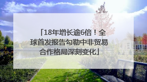 18年增长逾6倍！全球首发报告勾勒中非贸易合作格局深刻变化