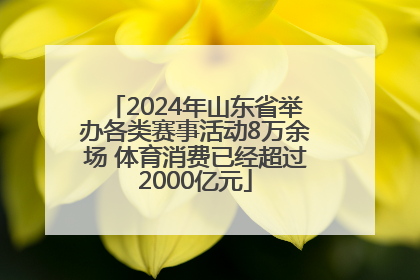 2024年山东省举办各类赛事活动8万余场 体育消费已经超过2000亿元